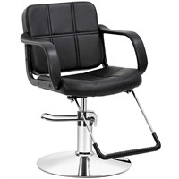 Artist hand Hydraulic Barber Chair Salon Chair for