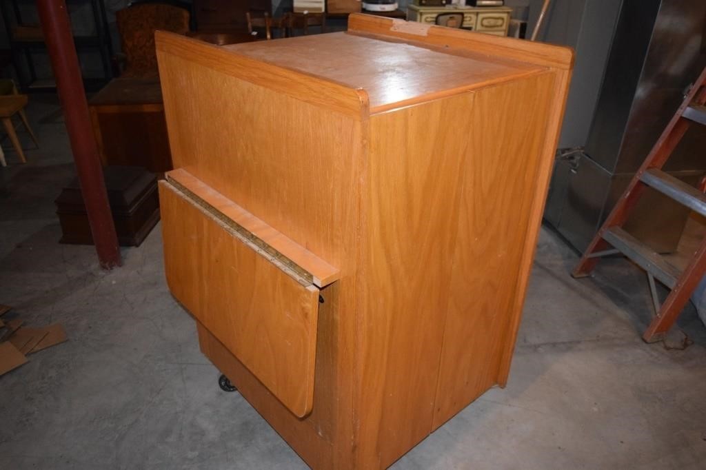 28" x 32" x 48" tall Oak Cabinet on Casters