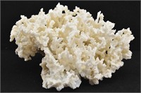 LARGE White Coral Tabletop Decor 13.5" W x 8" T