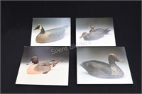 Jim Sprankle Artist -Waterfowl Framed Pictures
