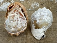 Cameo Carved Shells