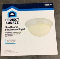 Project Source 9” Round Flushmount Light