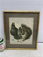 Decorative framed squirrel picture