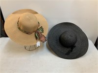 (2) Hats