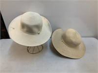 (2) Hats