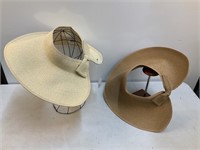 (2) Hats