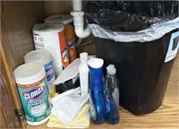 Miscellaneous cleaning supplies/ trash can
