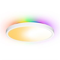 Smart Ceiling Light Flush Mount LED WiFi