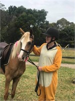 (VIC): COOPER - Australian Pony Gelding