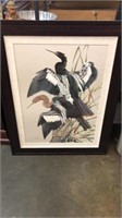 Framed Bird  Art Signed by Lamay