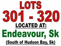 ~ LOTS 301 - 320 / LOCATED AT: ENDEAVOUR, SK