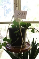 Potted Ivy in Macrame Hanging Shelf