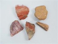 Group of Petrified Wood & More