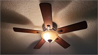 Ceiling Fan Lighted