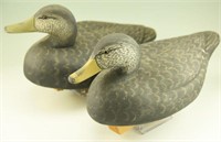 (2) Hand Carved Black duck decoys. Carver