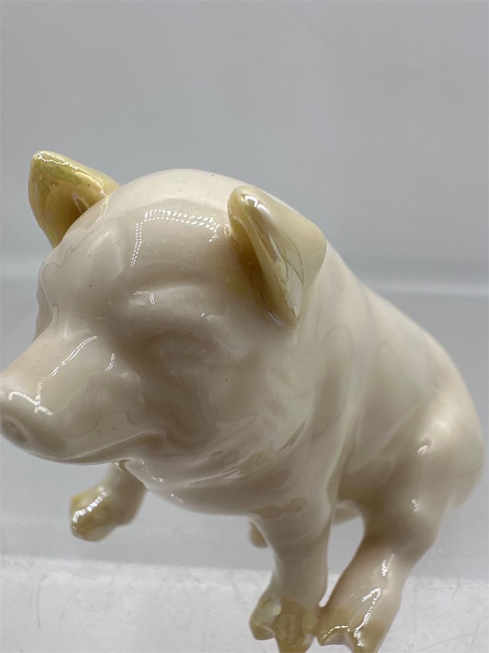 Belleek pig