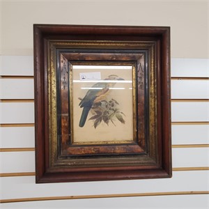 Framed Bird Art