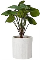 4 Artificial Pilea Plants with Pots

New- No