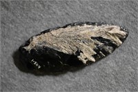 3 1/4" Obsidian Steamboat Lanceolate Found by Venn