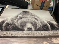 2 bear prints