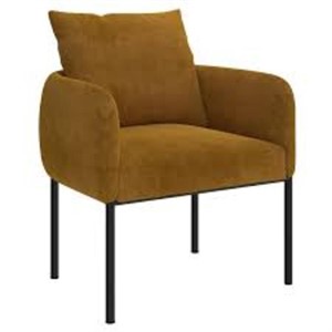 1X- ACCENT chair-NEW