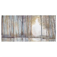 $105  30 H Forest Reflections Canvas (Set of 3)