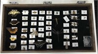 Cased Collection (Butterflies, Moths, etc...)