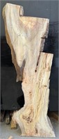 Kiln dry Camphor slab dressed 1855x600-640x40
