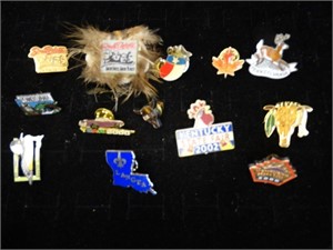State Hat /  Lapel Pins