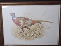 Vintage Pheasant Rooster picture framed. DALE C.