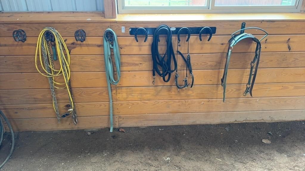 horse bridles, x2 lung line, and