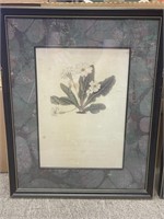 Shakespeare's Flowers, vintage print