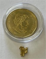 Alaska Gold Rush Nugget w/ Coin #5