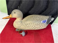 DUCK DECOY