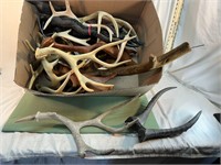 **VARIOUS TYPES OF HORNS ON SHOOTING TARGET/DECOYS