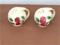 SALT AND PEPPER SHAKERS WITH PAINTED APPLES
