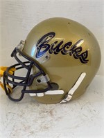 Alpine, Texas high school football helmet