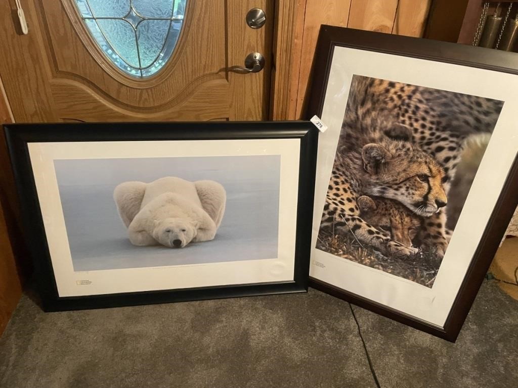 NATIONAL GEOGRAPHIC FRAMED POSTERS