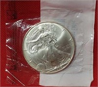 1996 Silver American Eagle Uncirculated