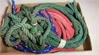 Assorted riding/horse ropes