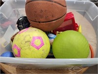 Tote of Balls and Toys