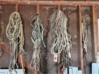 Wall of tack, ropes, bridles