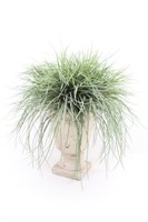 Artificial Grass Plant w/ Decorative Pot