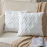 Neelvin 2-Pack Velvet Pillow Covers  x4