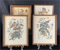 Vintage Arthur Singer Bird Prints