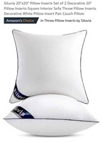 Set of 2 Pillow Inserts, 20" x 20"

*appears