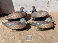 Avian X Plastic Duck Decoys 1