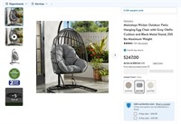 E2799  Mainstays Outdoor Hanging Egg Chair, Gray C