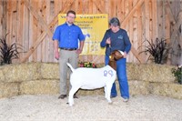Hickory Springs Farm Yearling Commercial Doe CHAMP