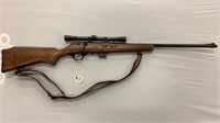 Glenfield Model 25 Short and Long, .22